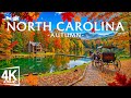 Autumn in North Carolina 🍁 Blue Ridge Parkway, Great Smoky Mountains & Asheville Streets