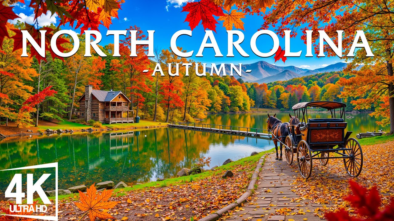 Autumn in North Carolina 🍁 Blue Ridge Parkway, Great Smoky Mountains & Asheville Streets