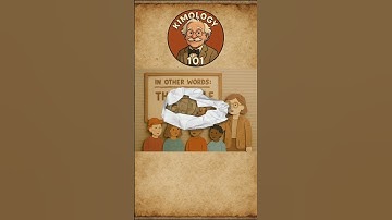 Definition of Democracy — Explained in 20 Seconds | Kimology 101