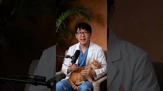 Dogs vs Cats: Who's Actually Smarter? 🧠 🐶🐱The dog vs cat debate — FINALLY settled by neuroscience. 🧠