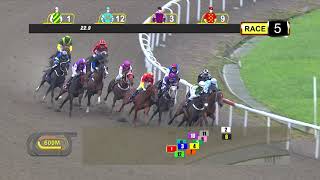 Vidéo de la course PMU MICHAEL JOHN CLEMENTS STAKES