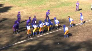 Paterson Flag Football Championship 2014