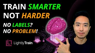 LightlyTrain: Pretrain to Instantly Deploy YOLO & Other Vision Models—No Labels Needed! Net Worth