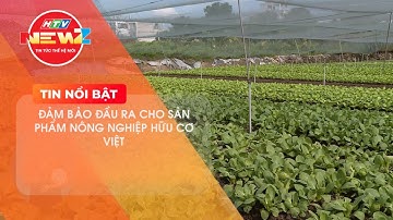 YUTHFARM ĐẨY MẠNH SẢN XUẤT HỮU CƠ NÂNG CAO CHUỖI GIÁ TRỊ NÔNG SẢN VIỆT