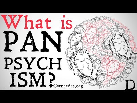 What is Panpsychism? (Philosophical Definitions)