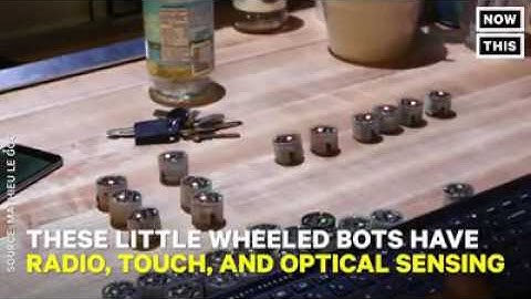 Check Out These Hive Mind Robots