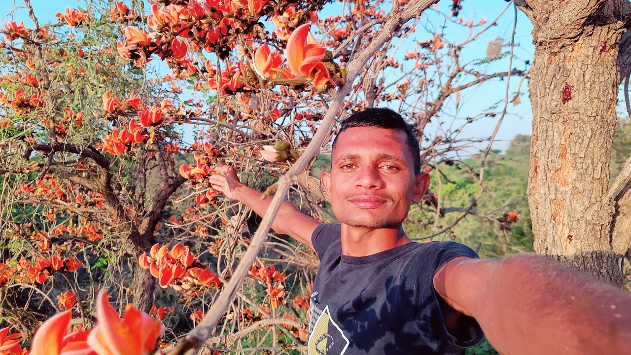 ધુળેટી રમવા માટે કેસુડો લેવા ગયા