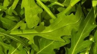Rayfly optical presorter for salad | RAYTEC VISION SpA