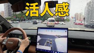 Horizon HSD V2.0: That Experienced, Human-Like Driving Feel