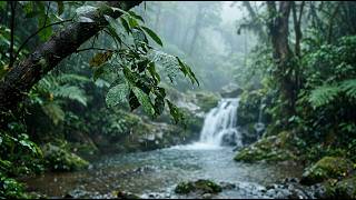 Fall Asleep Instantly with the Best Rain Sounds 🌲 Natural Rain on Forest Leaves to Beat Insomnia