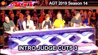 INTRO America's Got Talent 2019 Ellie Kemper as Guest Judge - AGT season 14 Judge Cuts 3
