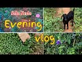 Flower garden #Rainy season #vlogs #gardening #tnfarmer #rainyday #தற்சார்பு  #youtubevideo #viral 