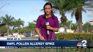 Dr. Imtiaz Ahmad Discusses How Rising Pollen Counts Impact Allergies