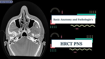 Anatomy & Pathologie