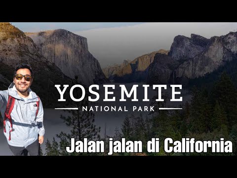 Video: Cara Pergi Dari San Francisco ke Taman Negara Yosemite