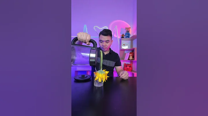 Reviving Wilted Flowers with Hot Water