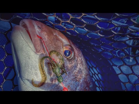 Tai Rubber Technique