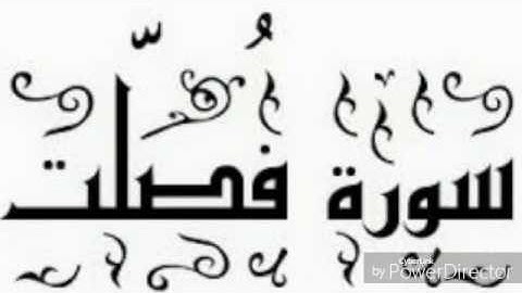سورة فصلت ص 477-478-479