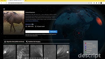 Migrasie | AWS Data Exchange for APIs Challenge