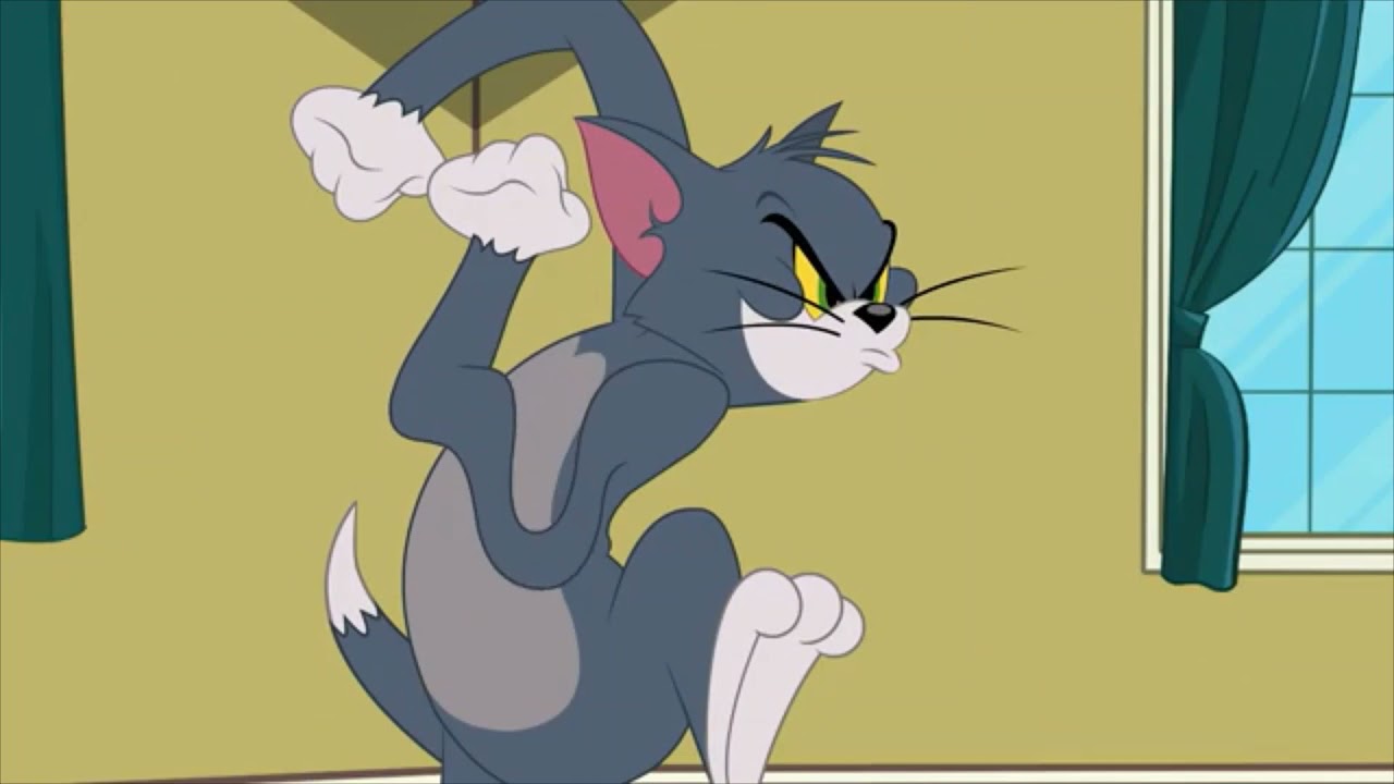 The Tom and Jerry Show Tom The Gym Cat YouTube