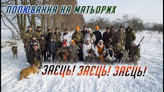 ПОЛЮВАННЯ НА МАТЬОРИХ ЗАЙЦІВ РІВНЕНЩИНА