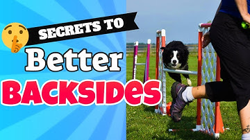 Dog Agility Backside Jump Training