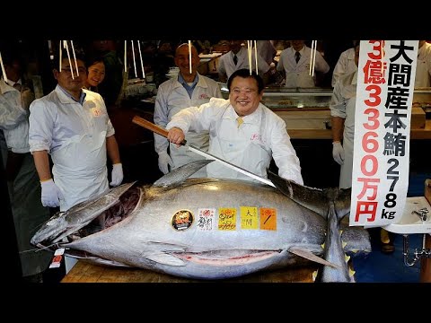 Endangered blue fin tuna gets record price at Tokyo fish market