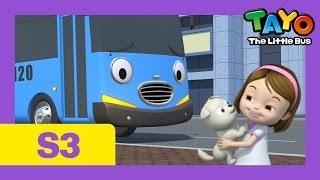 Tayo S3 EP19  I want a puppy l Tayo the Little Bus