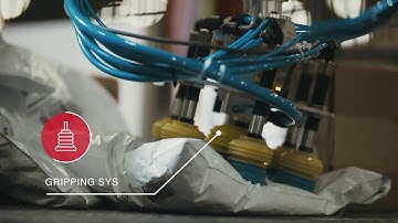 MHS | Robotic Singulation Automated Induction (RSAI)
