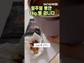 Todo를 모두 해치운 뿌듯한 월요일 | 꽉 찬 하루 | 프리랜서 갓생 브이로그 | 전업 웹소설 작가 | 다이어트 매일 기록