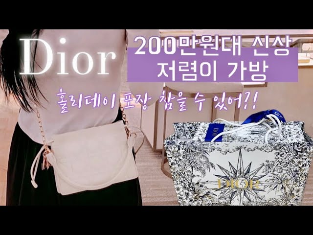 DIOR Lady Dior Top Handle Drawstring Mini Bag: Review, Pros and Cons, What  Fits and Mod Shots 