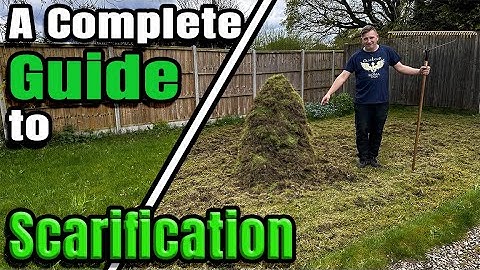 How To Remove THICK MOSS From YOUR LAWN | Scarification.