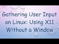 Gathering User Input on Linux: Using X11 Without a Window