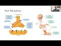 AMGR - Dec 2023 - "Perioperative Pain Management in the Setting of Opioid Use Disorder"