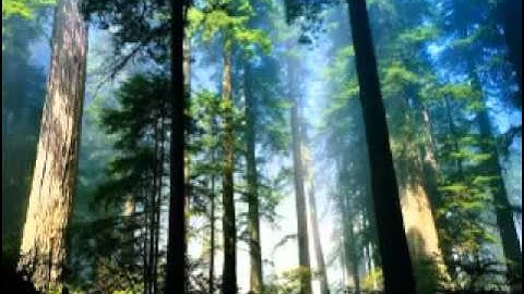 تلاوة لا توصف للشيخ أحمد العجمي سورة النبأ sheikh ahmed al ajmi surah naba'a