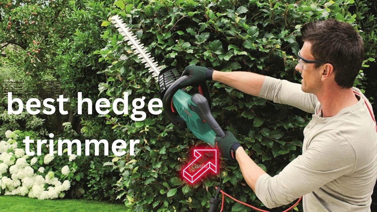 Top 5 best hedge trimmer 2024 - YouTube
