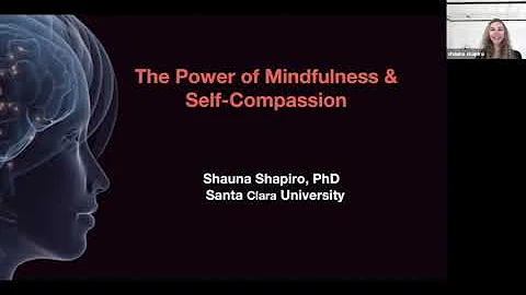 The Power Of Mindfulness & Compassion With Shauna Shapiro, PhD