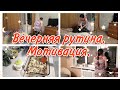 Вечерняя рутина// Мотивация на уборку и готовку//