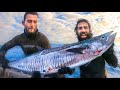 Spearfishing & Living on the Ocean | (Big Mackerel & Manta Rays!)