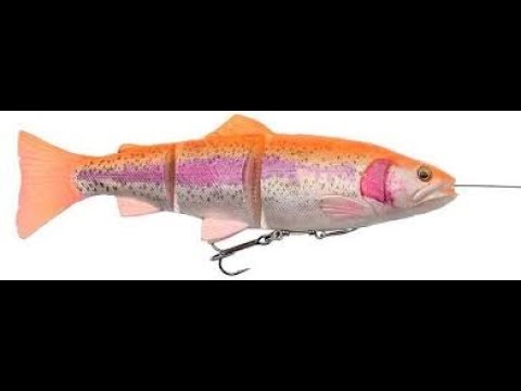 4D line trout albinos 15 cm 