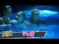 H2O: Metamorfosis T1 E1 | PASH