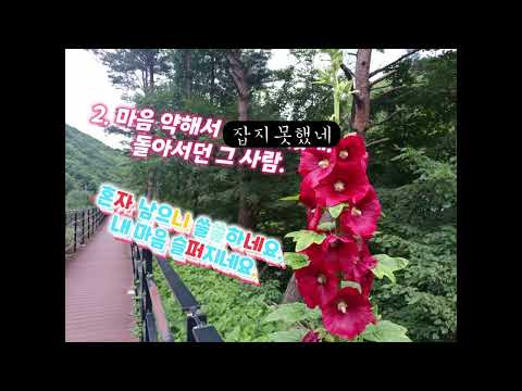 들고양이들 - ♥♥마음 약해서!  정두수 작사, 김영광 작곡 (1979년)