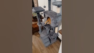 Making Catnip Toys  #cats