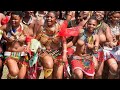 Zulu women dance festival highlights part 1