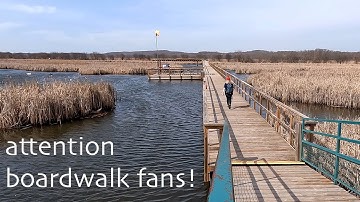 Wye Marsh, Midland / Penetanguishene