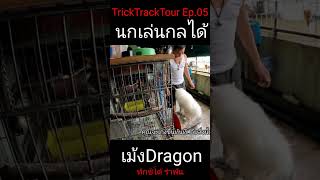 TrickTrackTour Ep.05 เม้ง Dragon นกเล่นกลได้