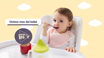 ¿Qué debe comer un bebé de 8 meses?