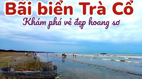 Chi tiết cung đường từ Móng Cái ra Bãi biển Trà Cổ - Vẻ đẹp hoang sơ níu chân du khách