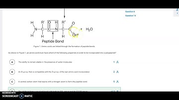 Unit 1 MCQ progress Check #2