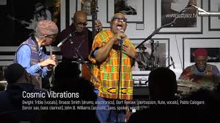 Cosmic Vibrations @ Mr Musichead Gallery